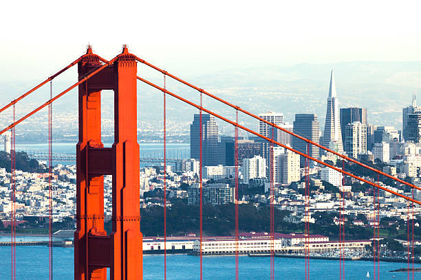 Bay Area Experiences